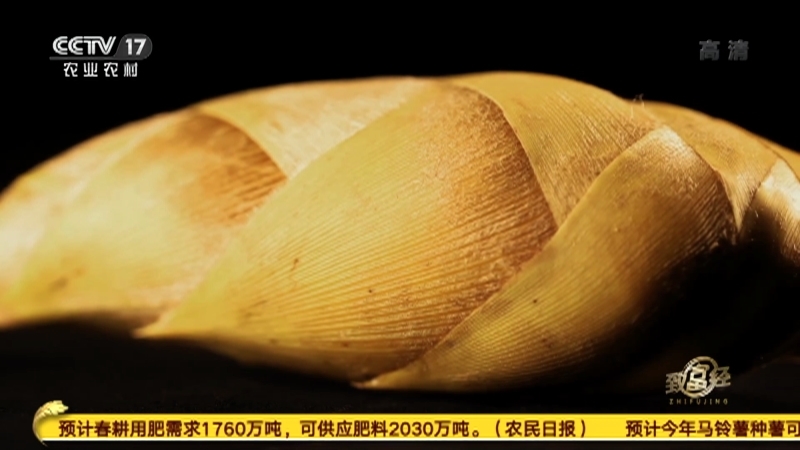 《致富经》 20210204 会“跑”的财富竹林藏