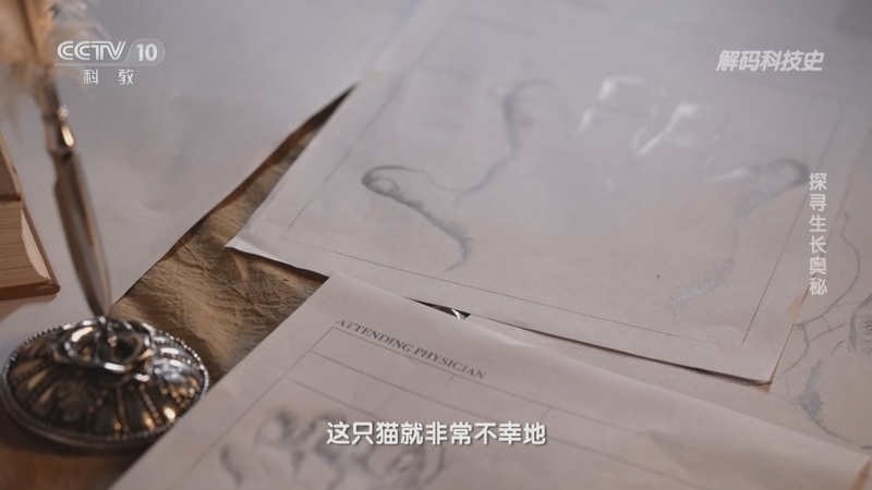 解码科技史 《解码科技史》 20230829 荷尔蒙密码——探寻生长奥秘