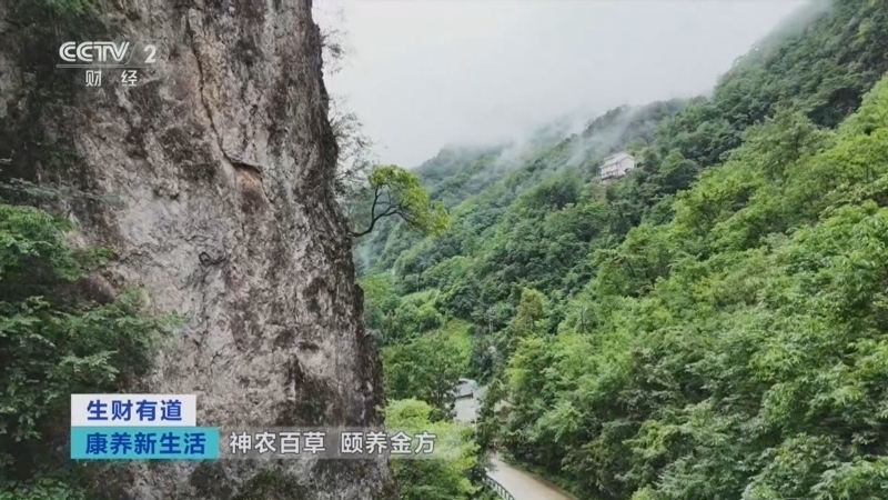 生财有道 《生财有道》 20250908 康养新生活：神农百草 颐养金方