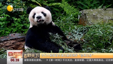 第一时间 汽柴油零售限价每吨均下调75元