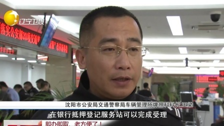 第一时间 大连最后一批被救助斑海豹幼崽放归大海