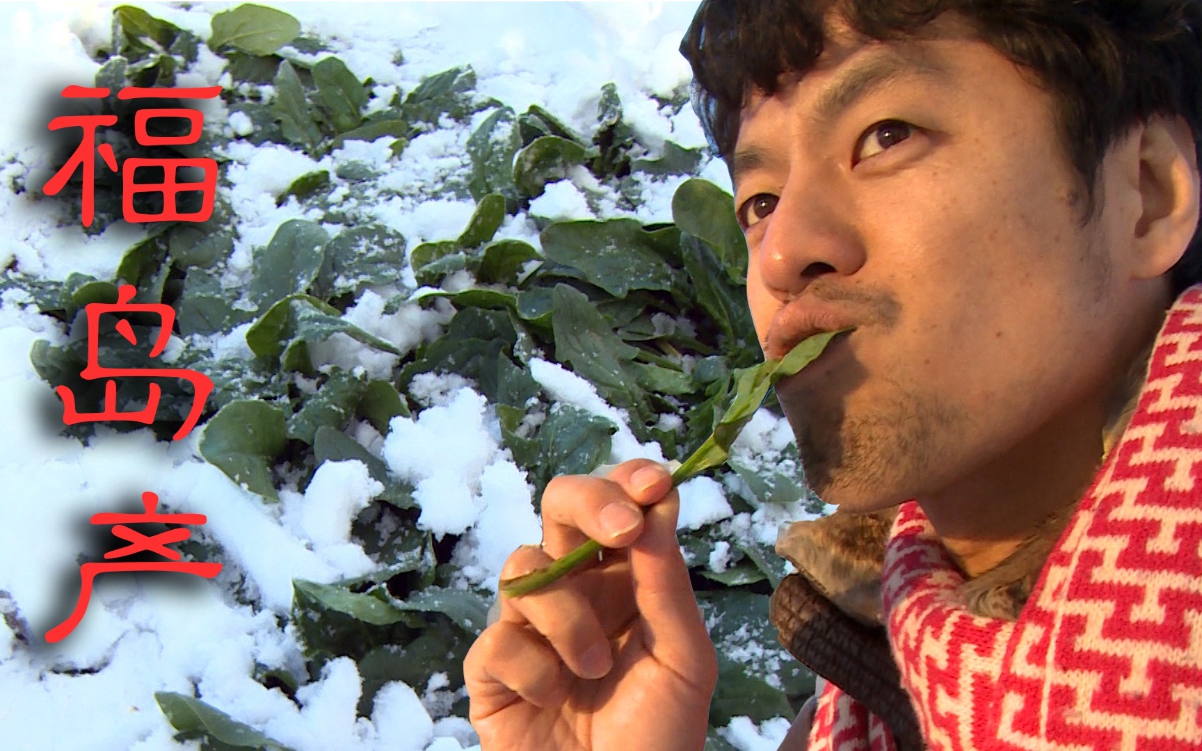 我住在这里的理由 第一季 亲口试验！福岛县的东西能不能吃？