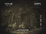 地理中国 《地理中国》 20130224 万柱“城堡”之谜（下）