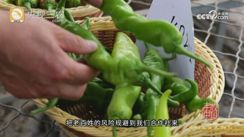 2023丰收中国 [2023丰收中国]中国农民人物志：曹有忠 崔广丹