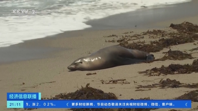 经济信息联播 《经济信息联播》 20230628