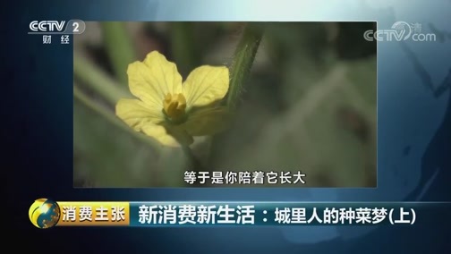 消费主张 《消费主张》 20181002 新消费新生活：城里人的种菜梦（上）