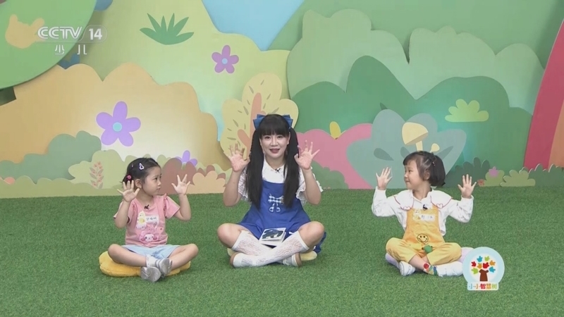 小小智慧树 《小小智慧树》 20240918