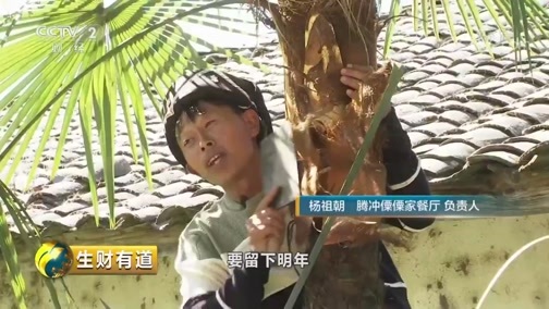 生财有道 《生财有道》 20190102 美味中国系列——云南腾冲：边城美味生新财