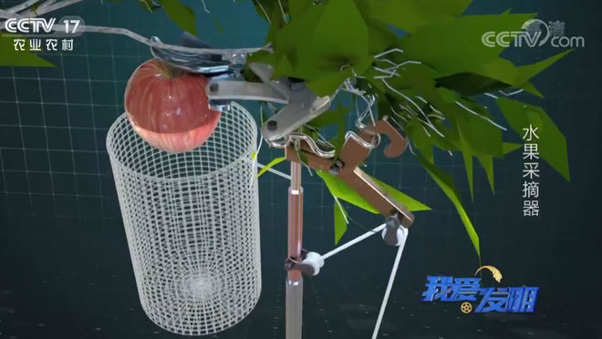 我爱发明 《我爱发明》 20200228 水果采摘器