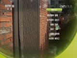 我爱发明 《我爱发明》 20170224 除锈能手