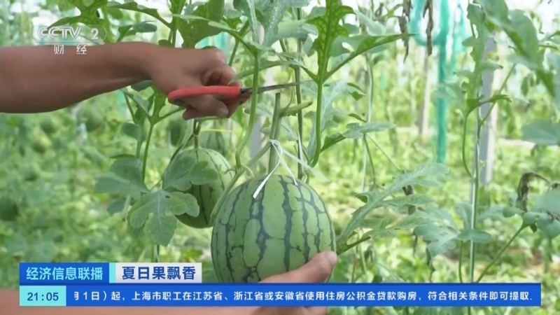 经济信息联播 《经济信息联播》 20240601