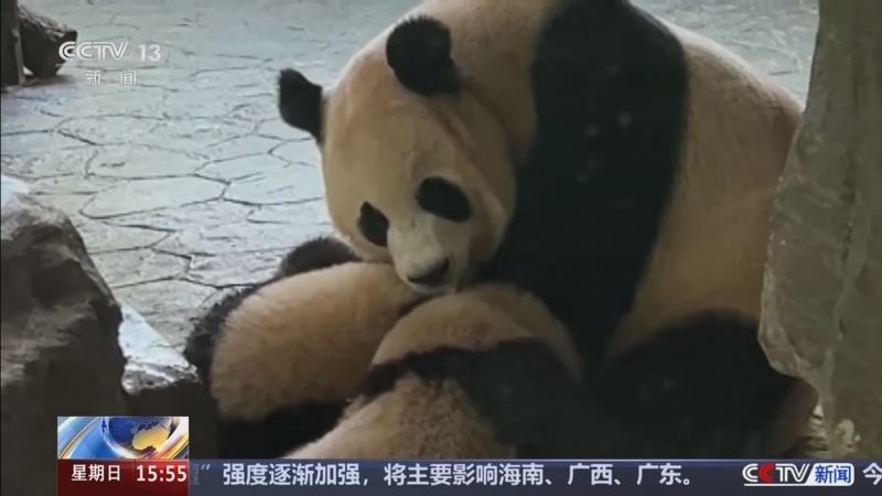 新闻直播间 《新闻直播间》 20260823 15:00