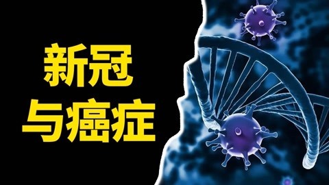 人体内的世界大战