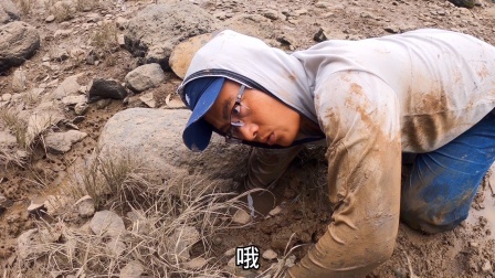 思乡渔夫赶海 看见螃蟹洞口有异样，渔夫伸手一摸，瞬间血流不止