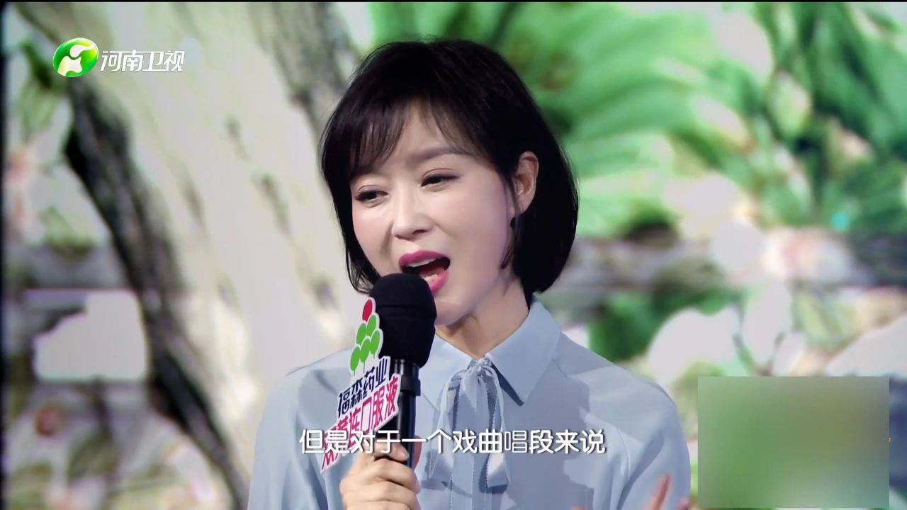 梨园春天天看 柏青 豫剧《对花枪》选段