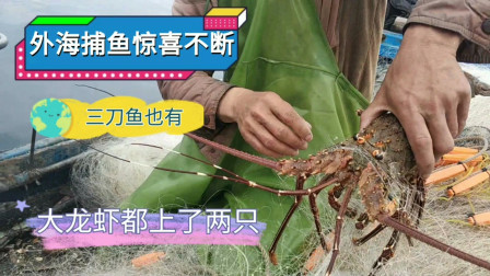 南澳岛赶海日记 彪哥远赴外海放网捕鱼，渔获惊喜不断，连大龙虾都上了两只了