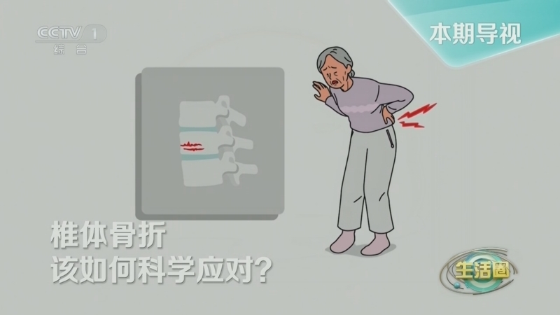 生活圈 《生活圈》 20241016