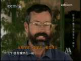 野生动物的保护者 野生动物的保护者 狮子和克里吉·帕克