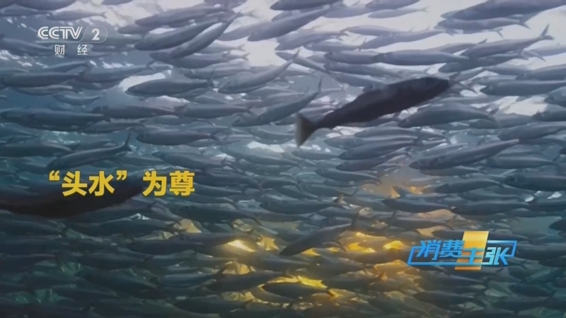 《消费主张》 20260326 春鲜消费 时令美食新场景（五）：头水海鲜