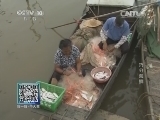 我爱发明 《我爱发明》 20140812 巧分海鲜