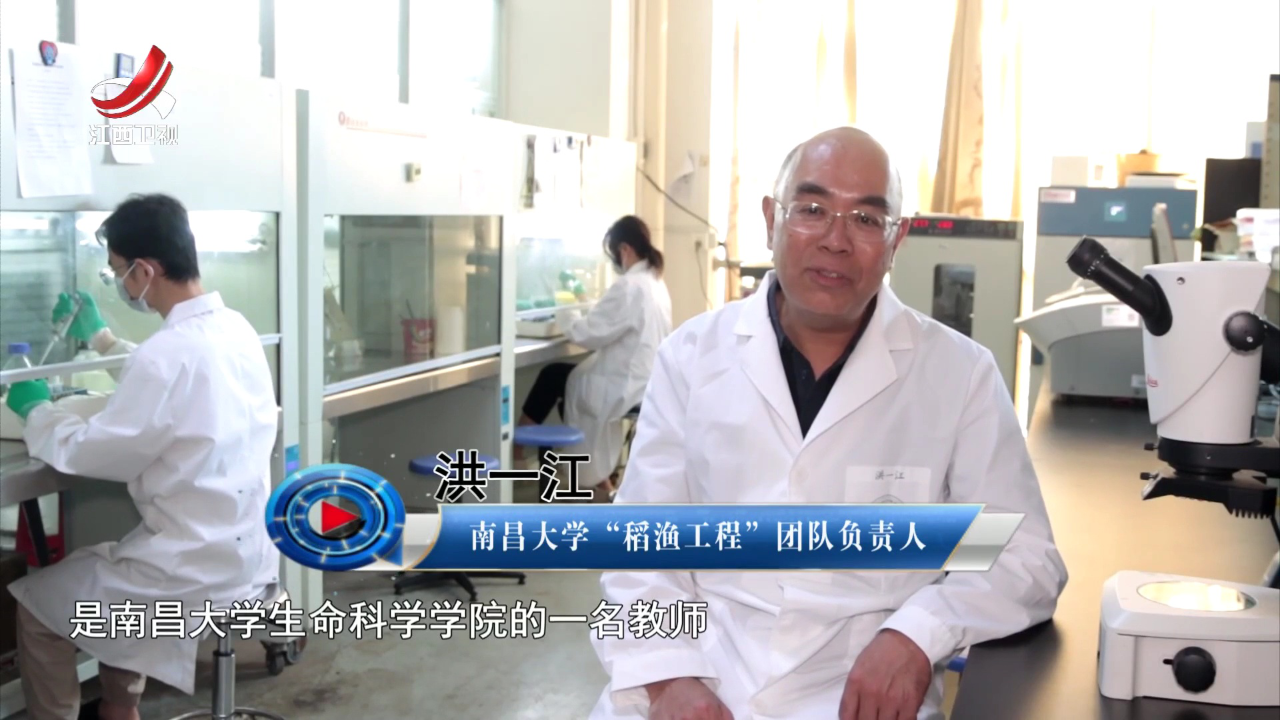 社会传真 庆祝中华人民共和国成立75周年特别节目·75年75人——“金牌”团队  科技兴渔