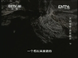 地理中国 天坑奇观·洞底幽灵 下《地理中国》 20130307