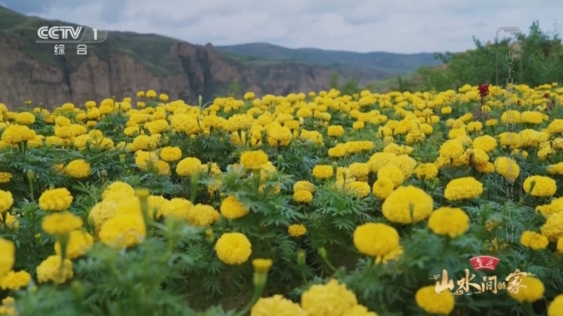 《山水间的家》第三季 20241124