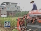 我爱发明 《我爱发明》 20141018 稻田除秆记