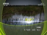 地理中国 《地理中国》 20180811 水下谜团·湖沼“焰火”