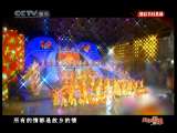 风华国乐 风华国乐 2010年 第304期