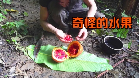 原始丛林人苏门答腊 第二季 东南亚荒野求生，找到一个奇怪的水果，有谁认识吗？