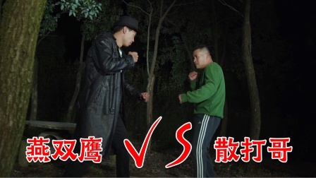 燕双鹰VS散打王，格斗高手狭路相逢