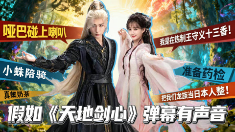 假如天地剑心弹幕有声音