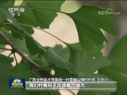 新闻联播 《新闻联播》 20190707 19:00