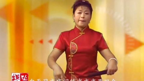 河南坠子 朱云阁 坠子书 王华后传