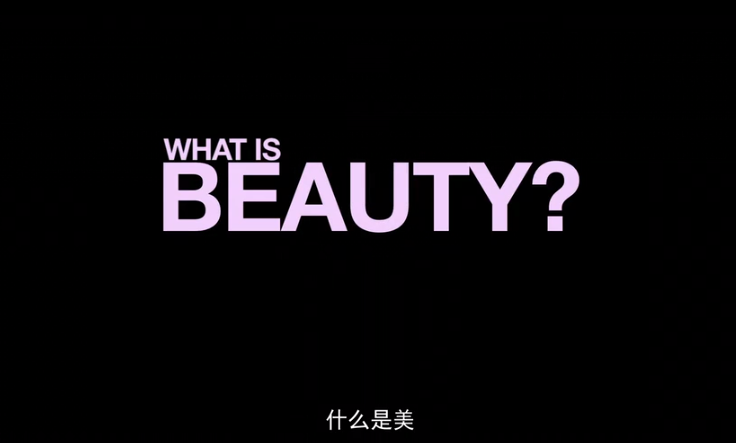 美是什么