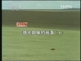 人与自然 《人与自然》 20130302 猎犬姐妹的故事（上）