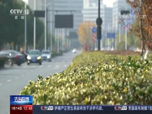 法治在线 《法治在线》 20200114