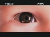魅力纪录（CCTV-1综合频道） 《隐形世界》 1 超越速度