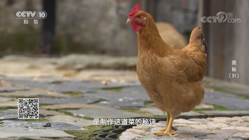 奥秘 《奥秘》 20200928 （51）