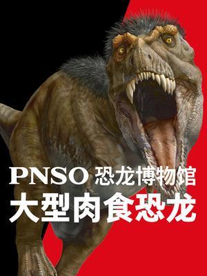 PNSO恐龙博物馆：大型肉食恐龙