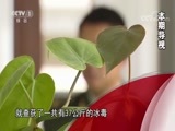今日说法 《今日说法》 20180626 神秘疗养团