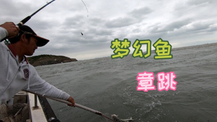 阿杰今天又到海上溜达一圈，钓上来的都是值钱货，能卖700多