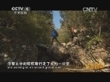 远方的家 百山百川行 第二百零六集 走岭阳古道 赏美丽九曲《远方的家》 20140214