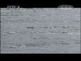 山林里的故事 特别呈现20110422