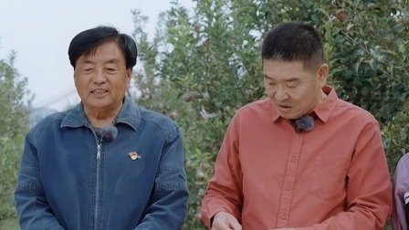 在希望的田野上 丰收