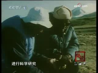 见证 我们身边的三十个细节 7