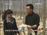 生财有道 [生财有道]鸳鸯鸭 树林底下竞自由(20120425)