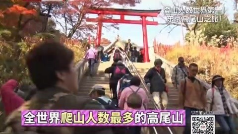 四海漫游 东京高尾山之旅