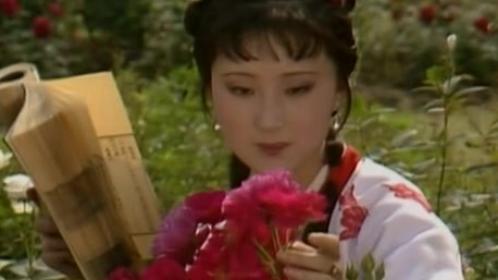 非常故事汇 “林妹妹”与陈晓旭的不解之缘